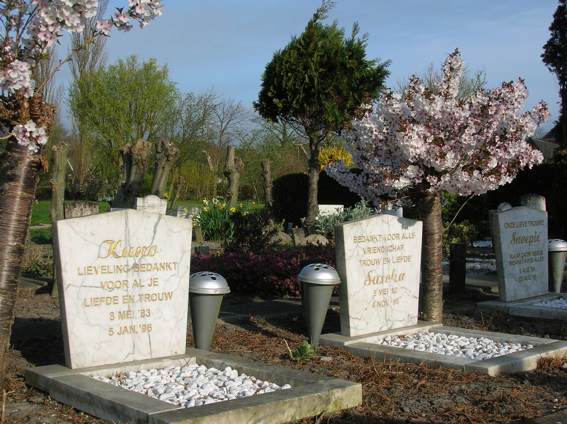 2-grafjes